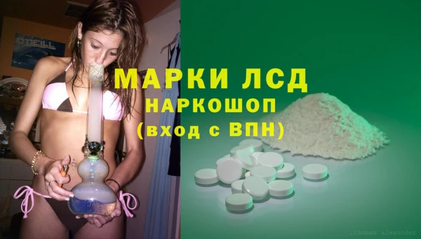 винт Абаза