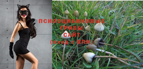 винт Абаза