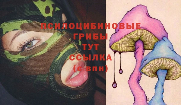 винт Абаза