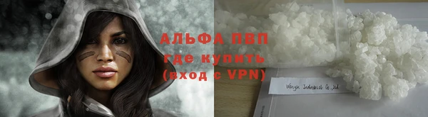 винт Абаза