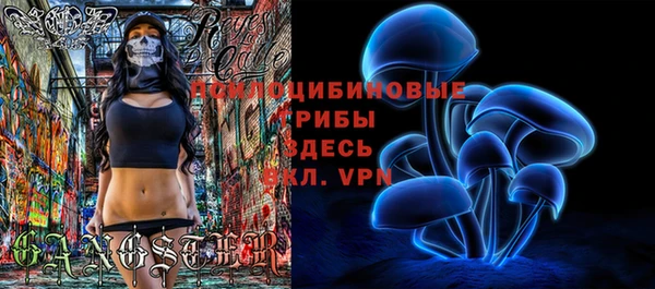 винт Абаза