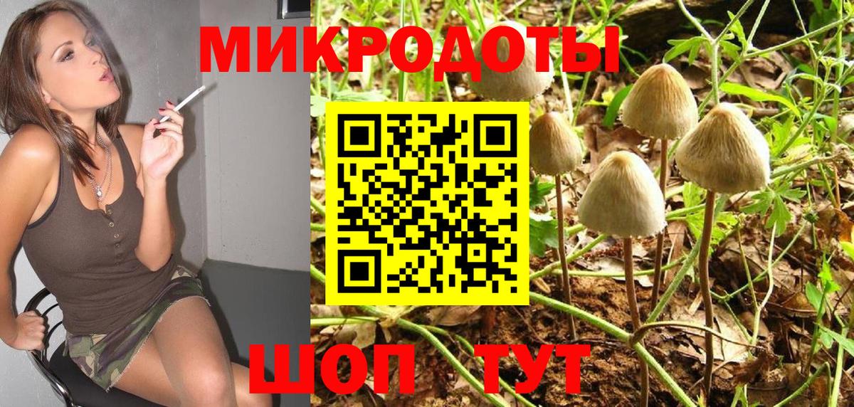 Псилоцибиновые грибы мухоморы Алексеевка