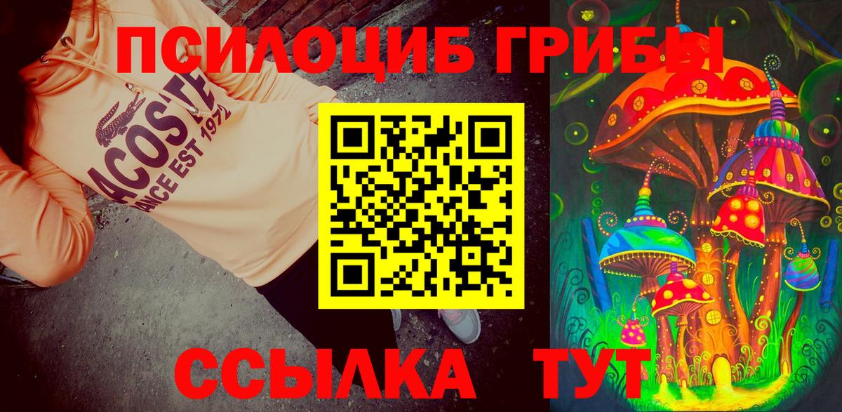 Псилоцибиновые грибы GOLDEN TEACHER  Вход с VPN  Алексеевка 