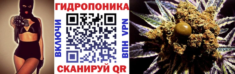 Шишки марихуана марихуана  Алексеевка 