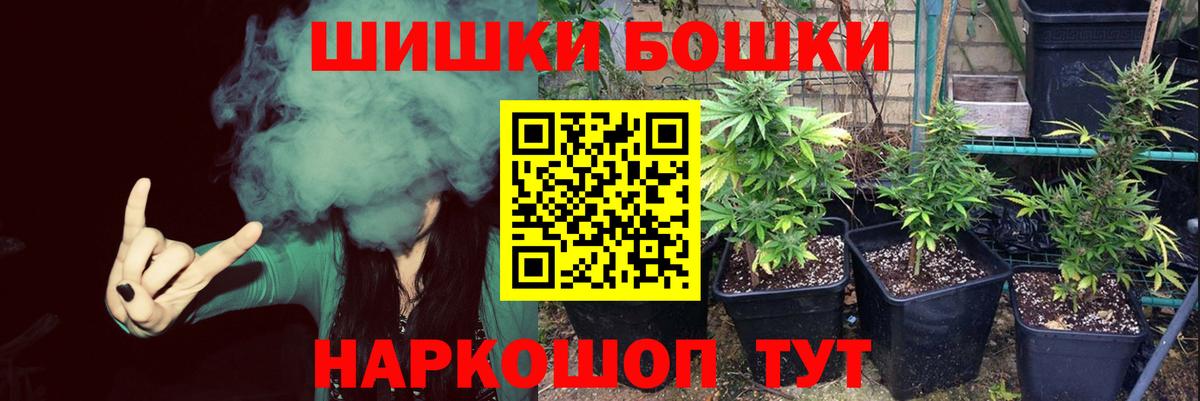 Бошки Шишки планчик  Марихуана AK-47  Марихуана OG Kush  Вход с VPN  Алексеевка 